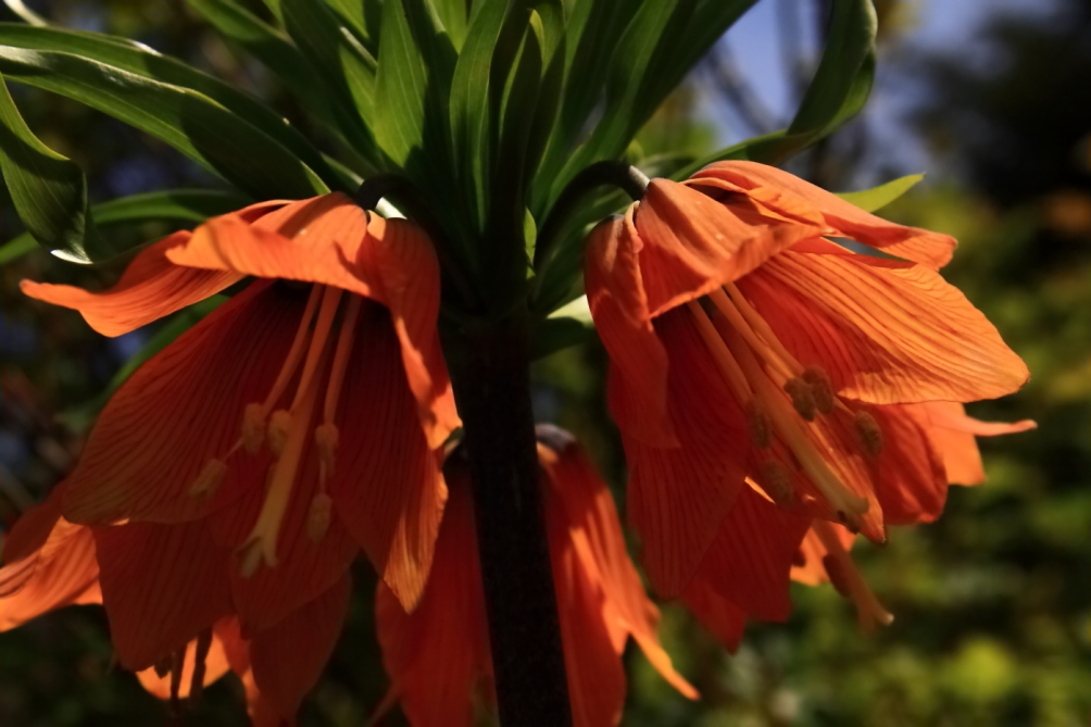 2011 05 01 IMG 29838